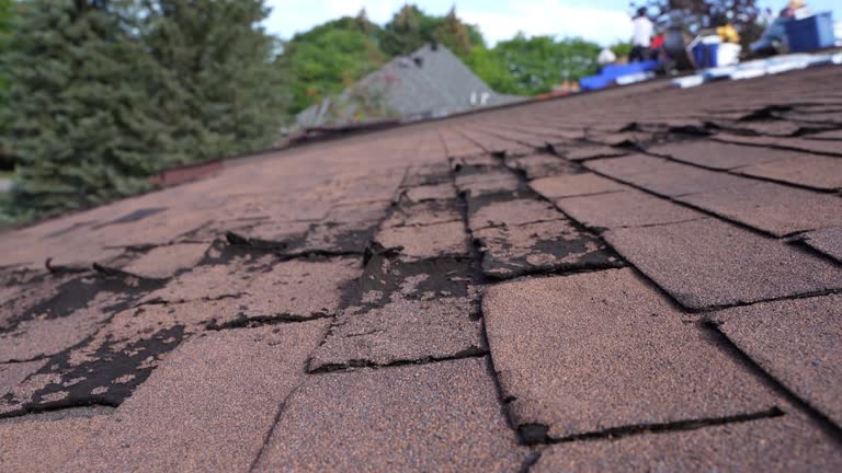 Best Asphalt Shingles Roofing  in Castlewood, VA